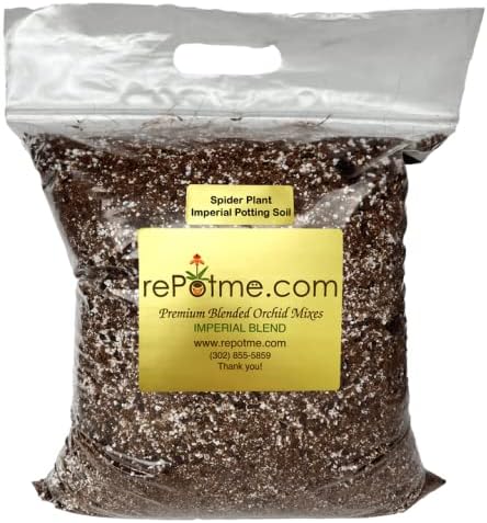 Spider Plant Potting Soil Mix - High-Quality Houseplant Soil