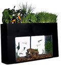AquaSprouts Garden Self-Sustaining Desktop Aquarium Aquaponics Kit