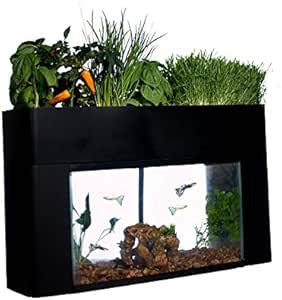 AquaSprouts Garden Self-Sustaining Desktop Aquarium Ecosystem Kit