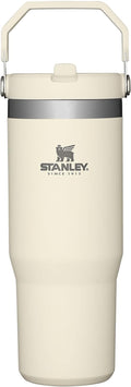 Stanley IceFlow Flip Straw Tumbler 30 oz - Insulated, Leak Resistant