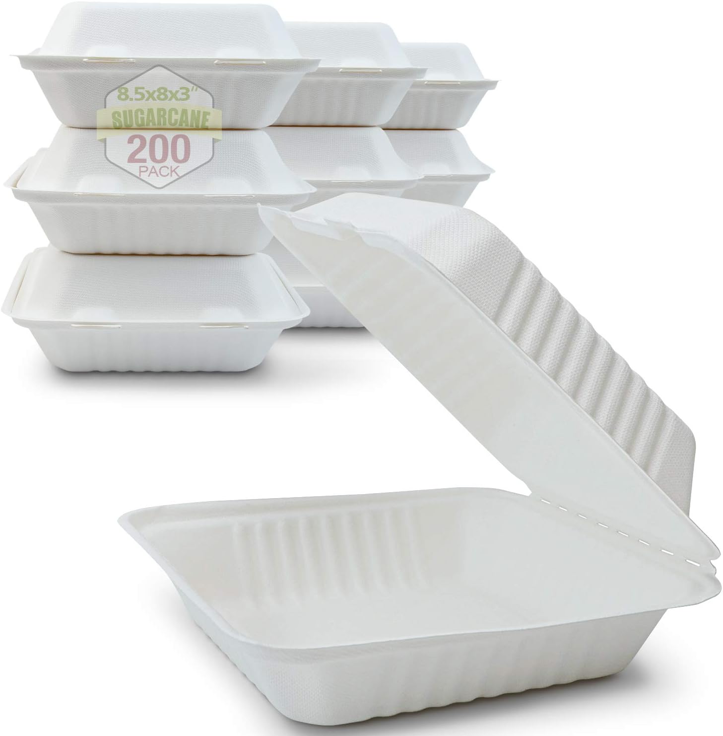 8-Inch Compostable Clamshell Containers for Eco-Friendly Meals