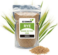 No-Till Winter Rye Cover Crop Seeds 10 lbs - Fast Ground Cover