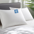 Hypoallergenic Bamboo Viscose Shell King Pillows Set of 2 - Hotel Soft