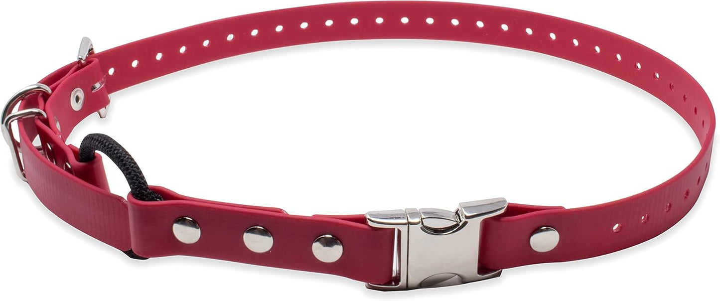 Educator Quick Snap Bungee Dog Collar, Waterproof and Durable