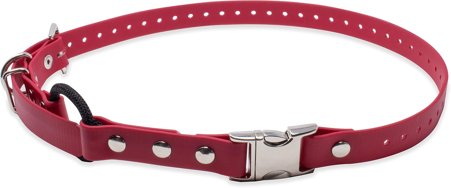 Educator Quick Snap Bungee Dog Collar, Waterproof and Durable
