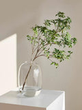 GeLive Clear Round Flower Vase for Stunning Home Decor