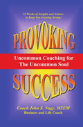 Provoking Success - Uncommon Coaching for the Uncommon Soul