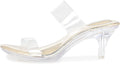 Clear Heels for Women Little Platform Silver Black - Perfect Height