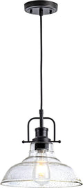 Glass Pendant Light Black Seeded Glass Shade - Adjustable Hanging
