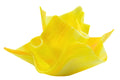Yellow and Orange Mimosa Vase Dish Set with Free Candle Refill