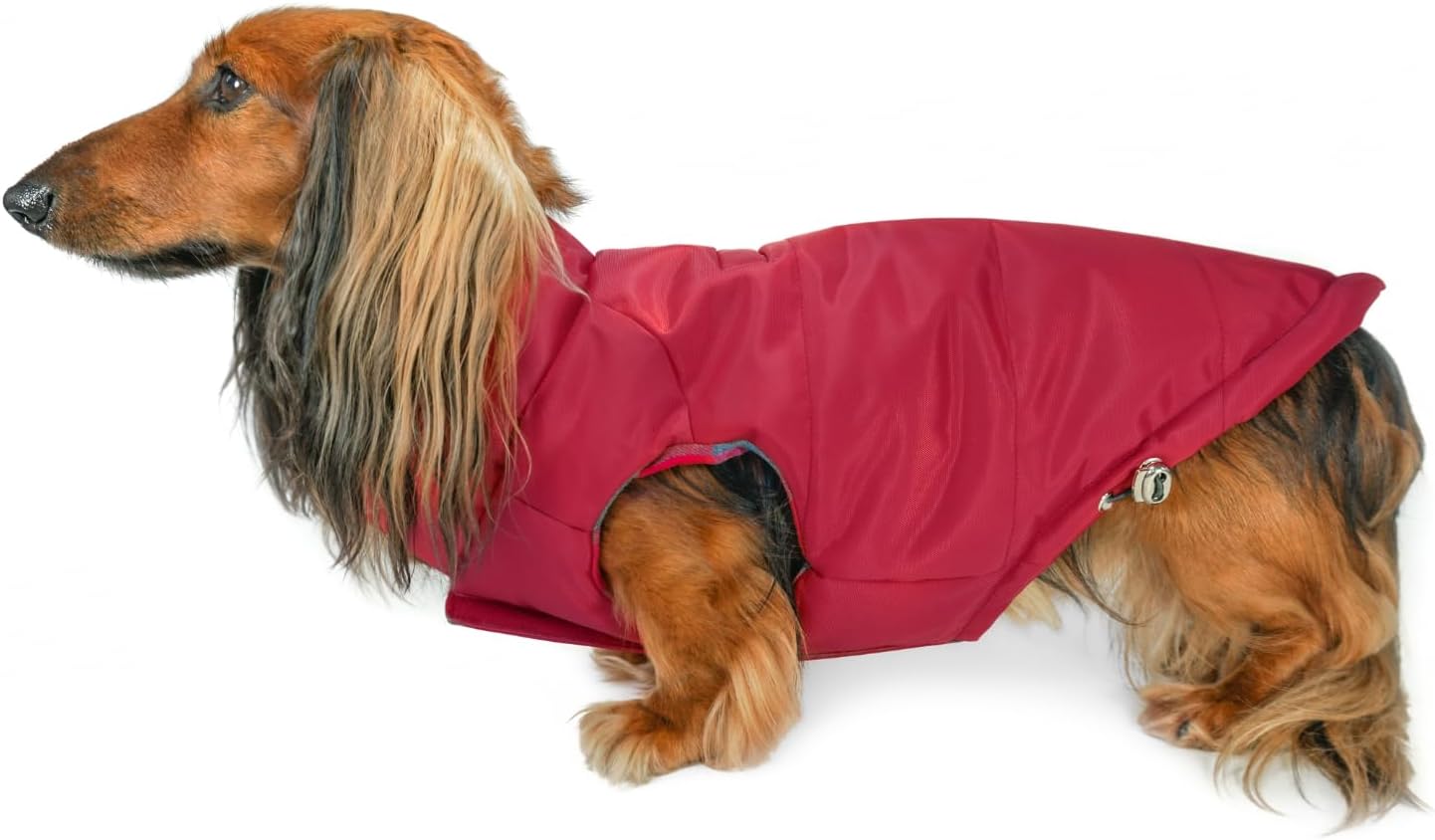 DJANGO Reversible Puffer Dog Coat for Small & Medium Dogs