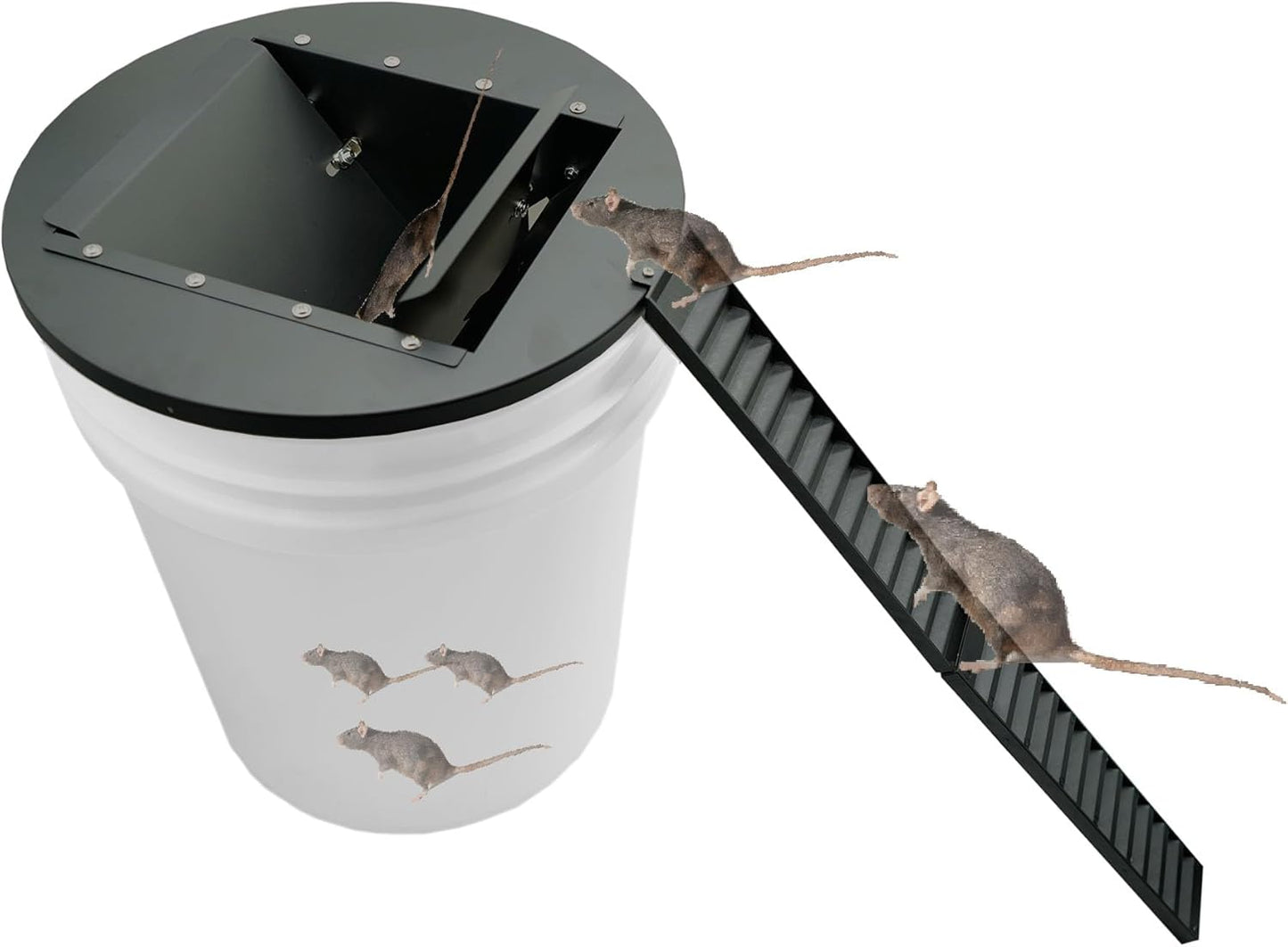 Auto-Reset Metal Mouse Trap: Easy Capture! 