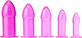 5 Piece Anal Trainer Set Purple - Graduated Butt Plugs for Training