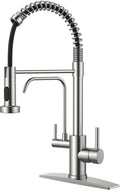 2 in 1 Pull Down Kitchen Faucet with Built-In Drinking Water Faucet