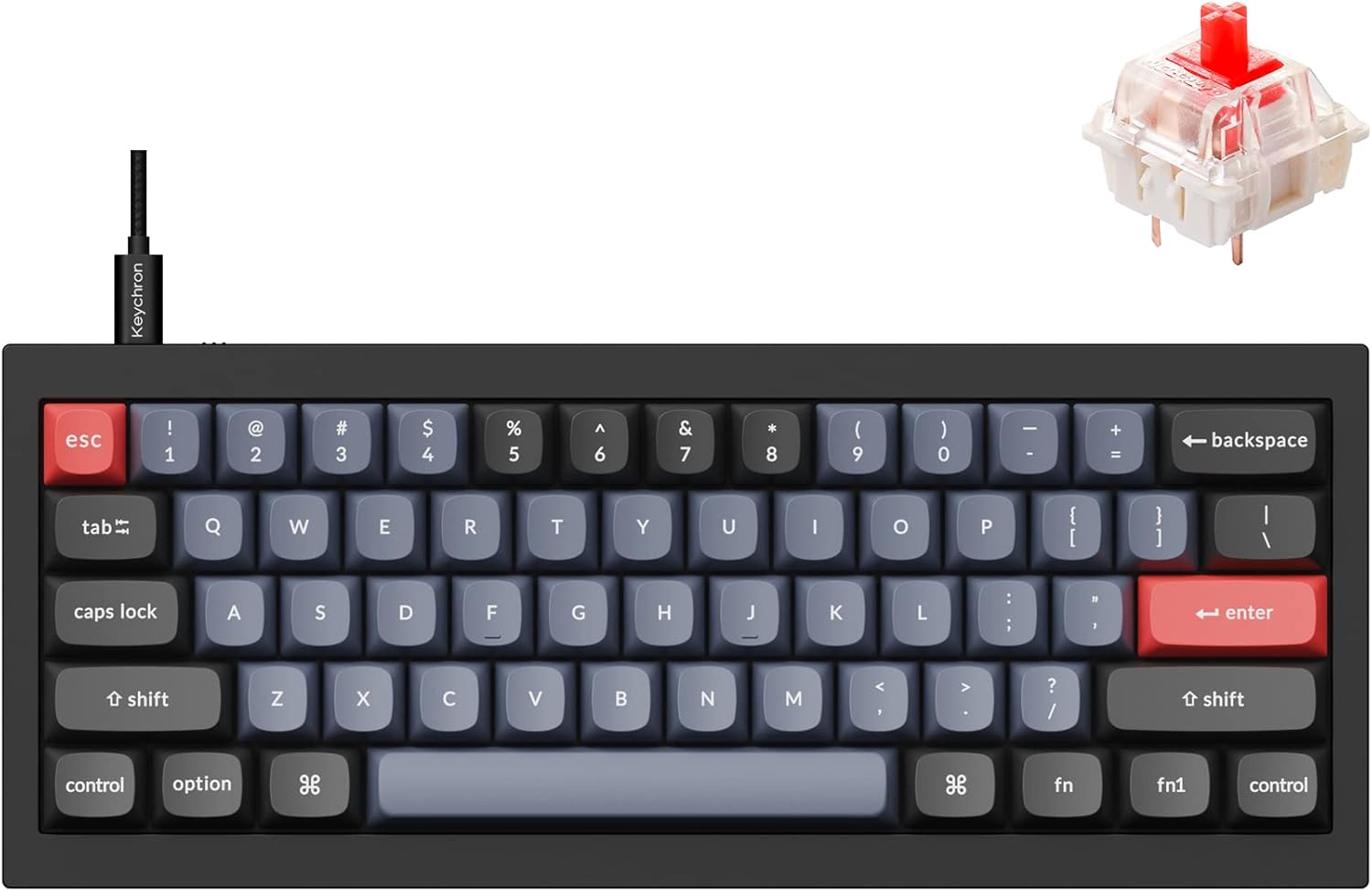 Keychron Q4 Wired Mechanical Keyboard - Programmable with Hot-swappable Gateron G Pro Red Switch