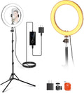 10 in 20W Bi Color LED Ring Light for Phone - Versatile Studio