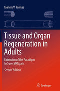 Tissue and Organ Regeneration in Adults - Extension of the Paradigm