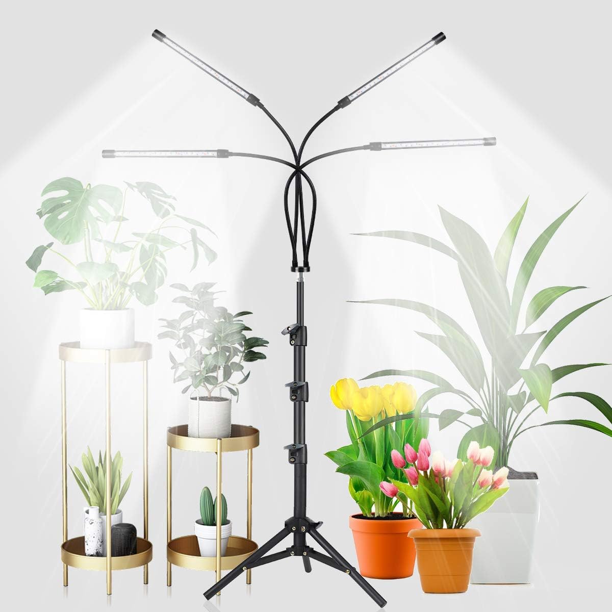 GHodec Grow Light with Stand for Indoor Plants and Seedlings