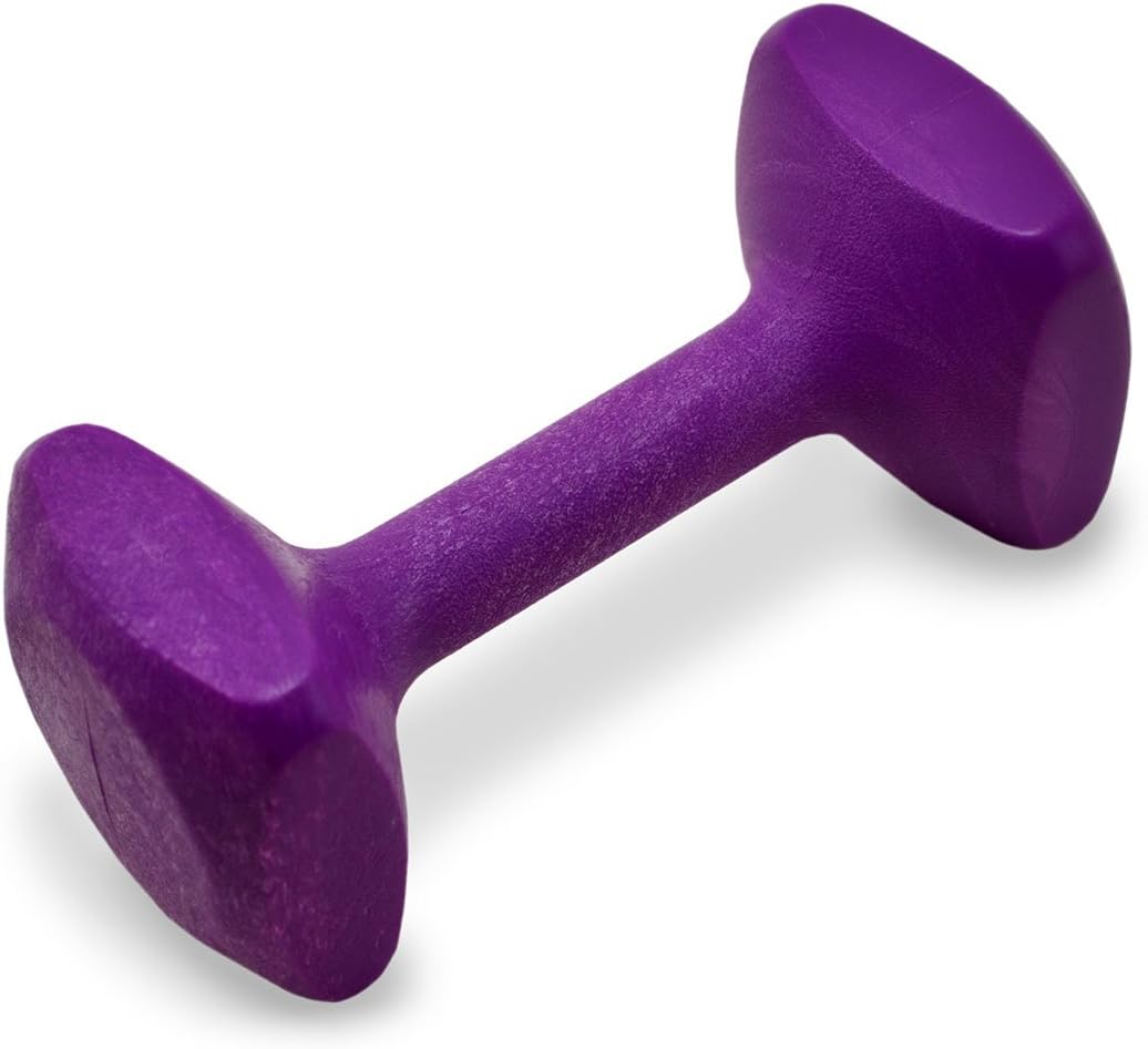 J&J Dog Supplies Obedience Retrieving Dumbbell for Training
