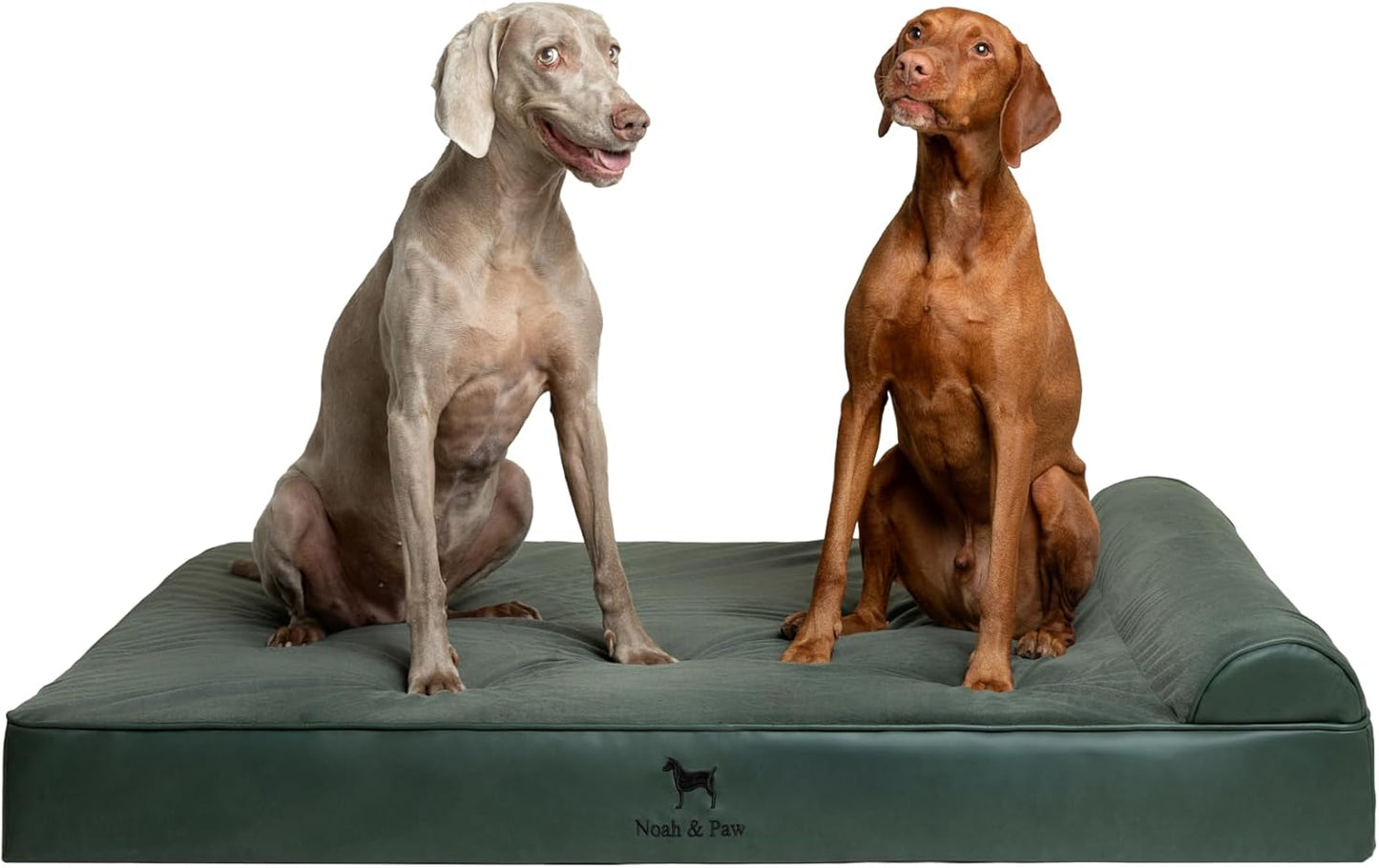 Giant Dog Bed XXL 55x45x9.5 Inch with Orthopedic Support