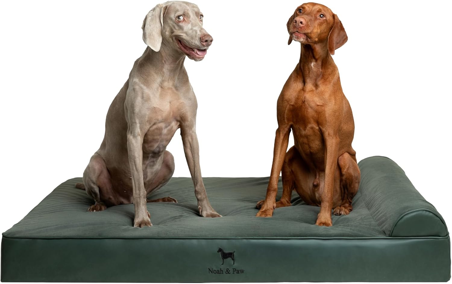 Giant Dog Bed XXL 55x45x9.5 Inch with Orthopedic Support