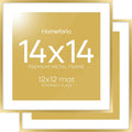 14x14 Gold Picture Frame Set of 2 - Matted 12x12 Display