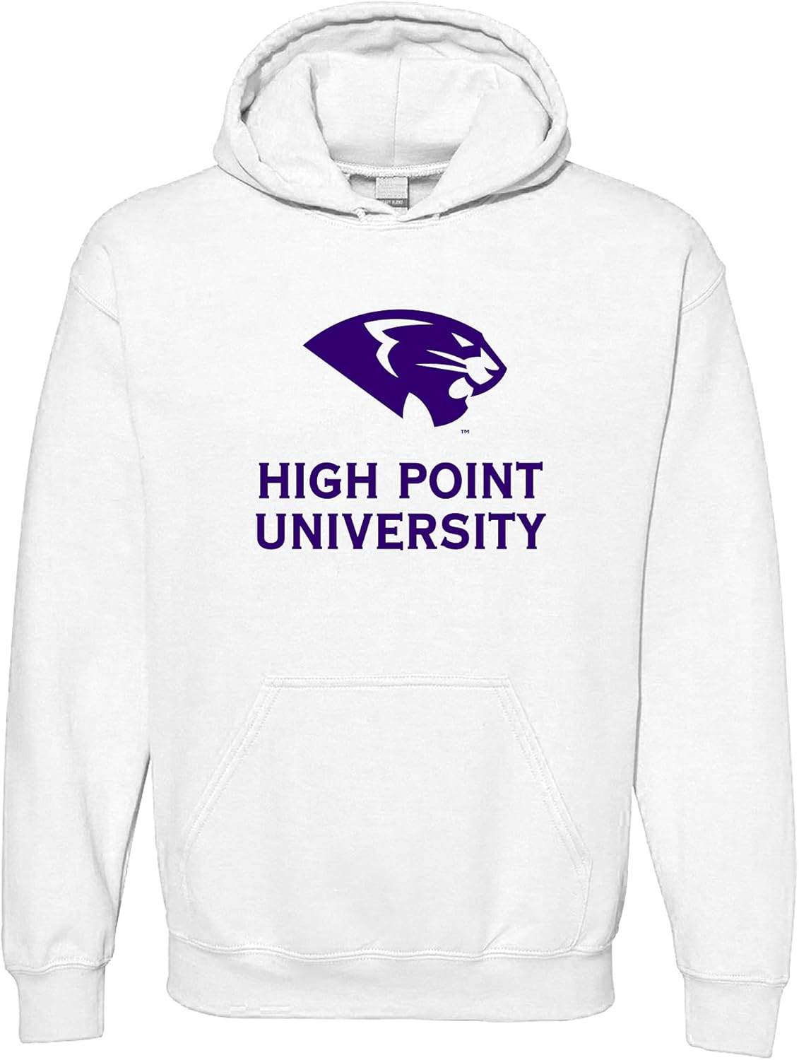 UGP Campus Apparel NCAA Primary Logo Hoodie for School Pride