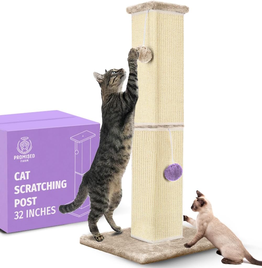 Tall Cat Scratching Post 32 Inches - Durable and Stylish Design