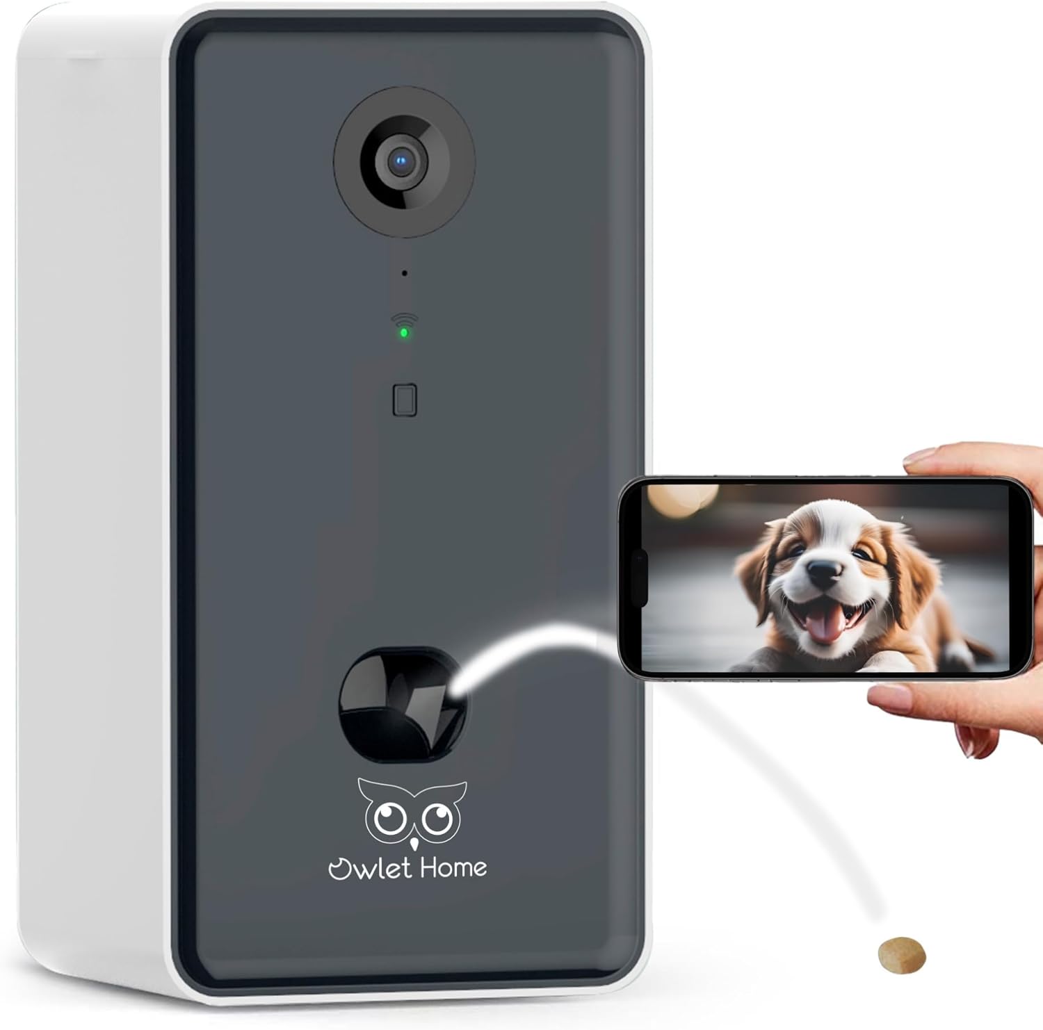 Smart Pet Camera: Treat Dispenser, HD Video, Night Vision