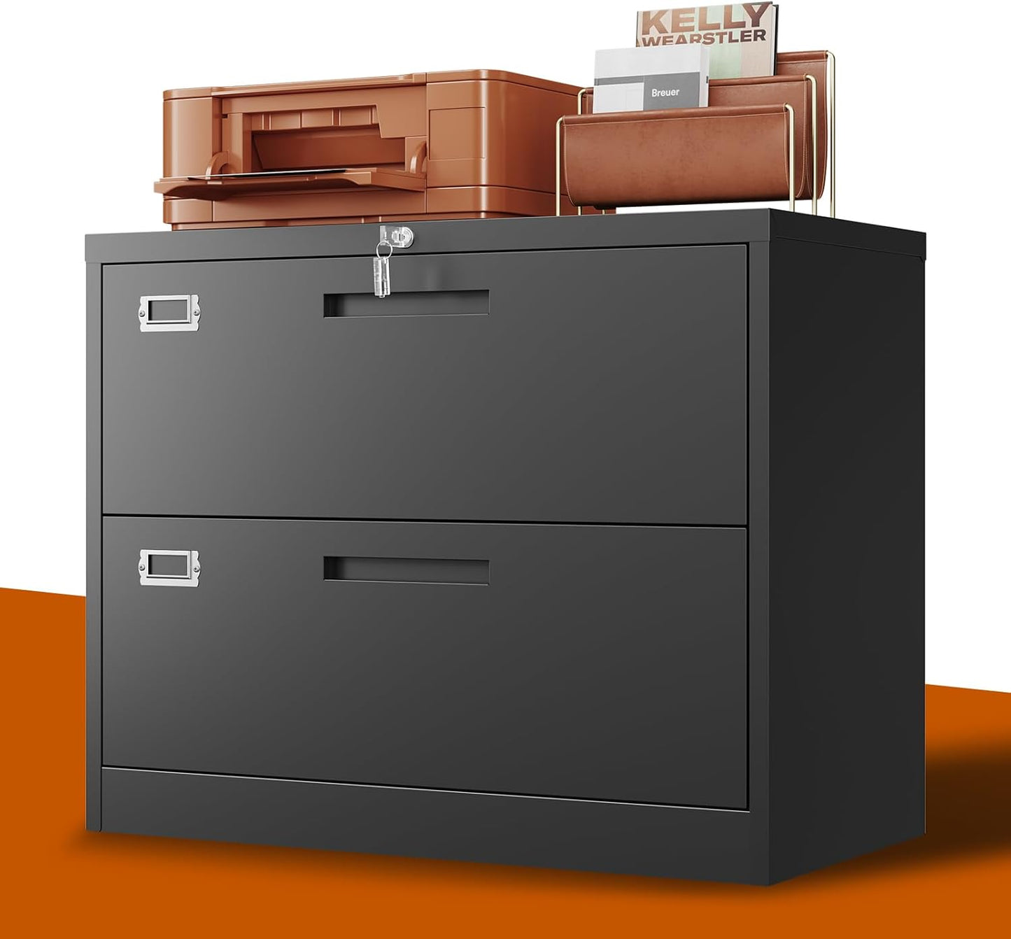2 Drawer Lateral File Cabinet with Lock for Office and Home