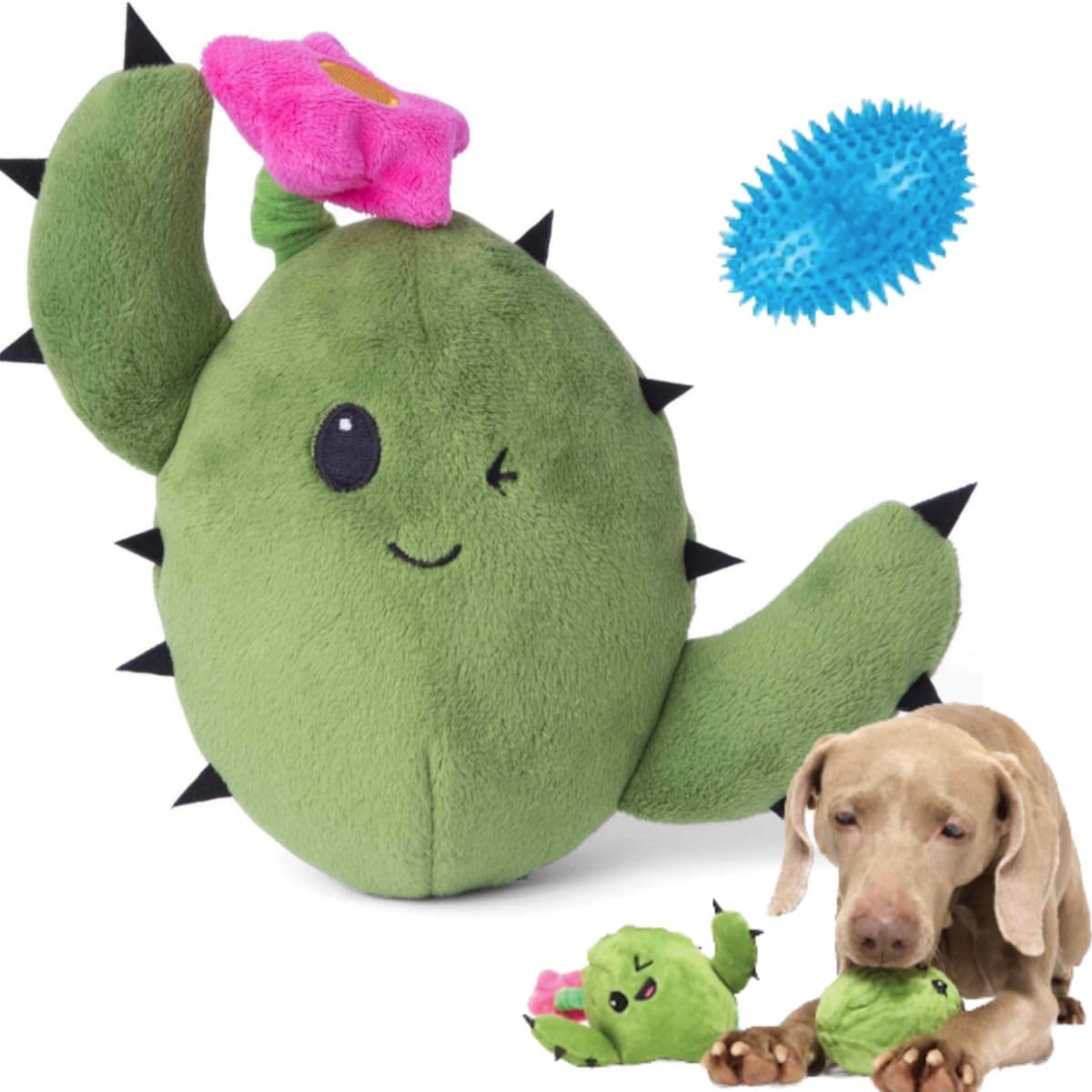 Interactive Rip & Reveal Squeaky Toy - Consuela Cactus