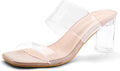 Clear Heels for Women Transparent Two Strap Block Chunky (Style CBZJ)