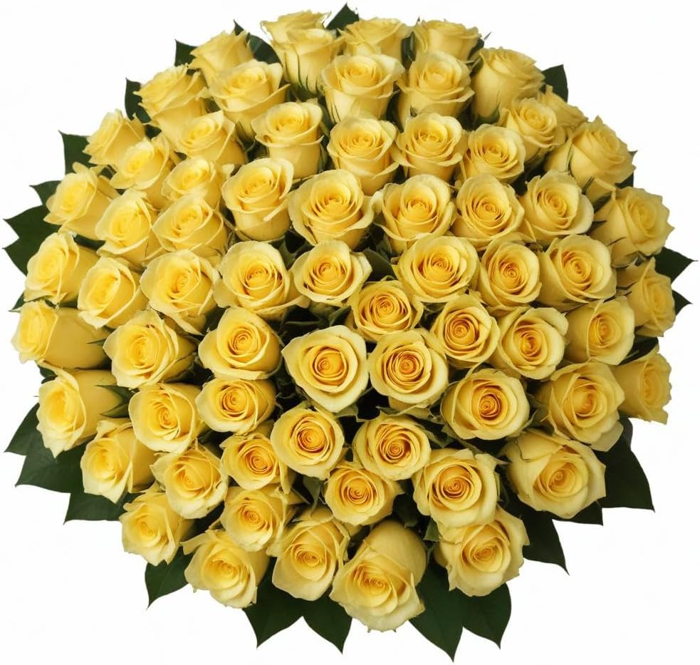 100 Yellow Roses Bulk Fresh Flowers for Any Celebration