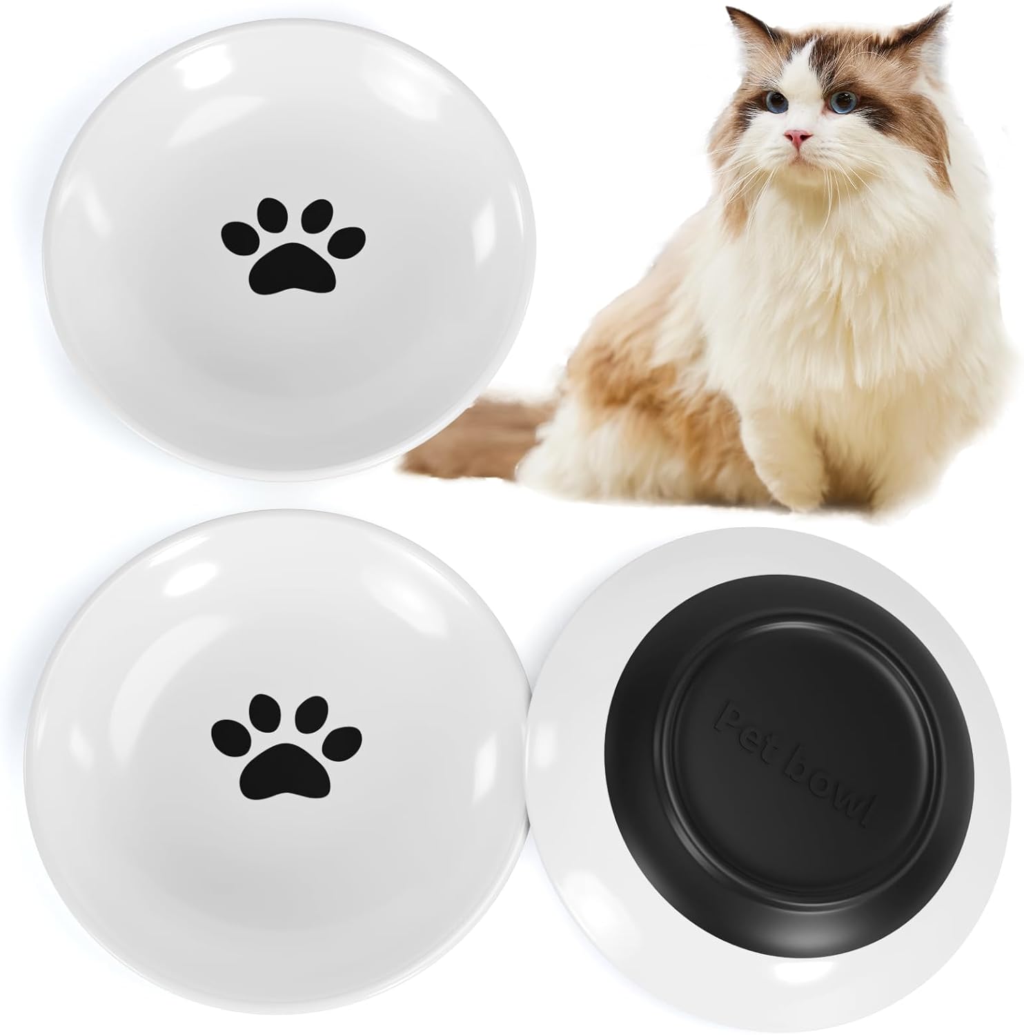 Whisker-Friendly Ceramic Cat Bowls Set