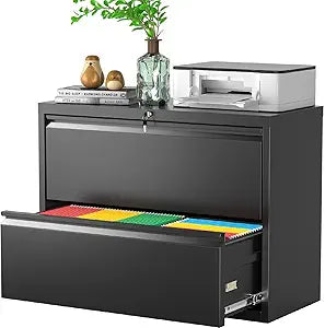 Greenvelly 2 Drawer File Cabinet with Lock for Home Office