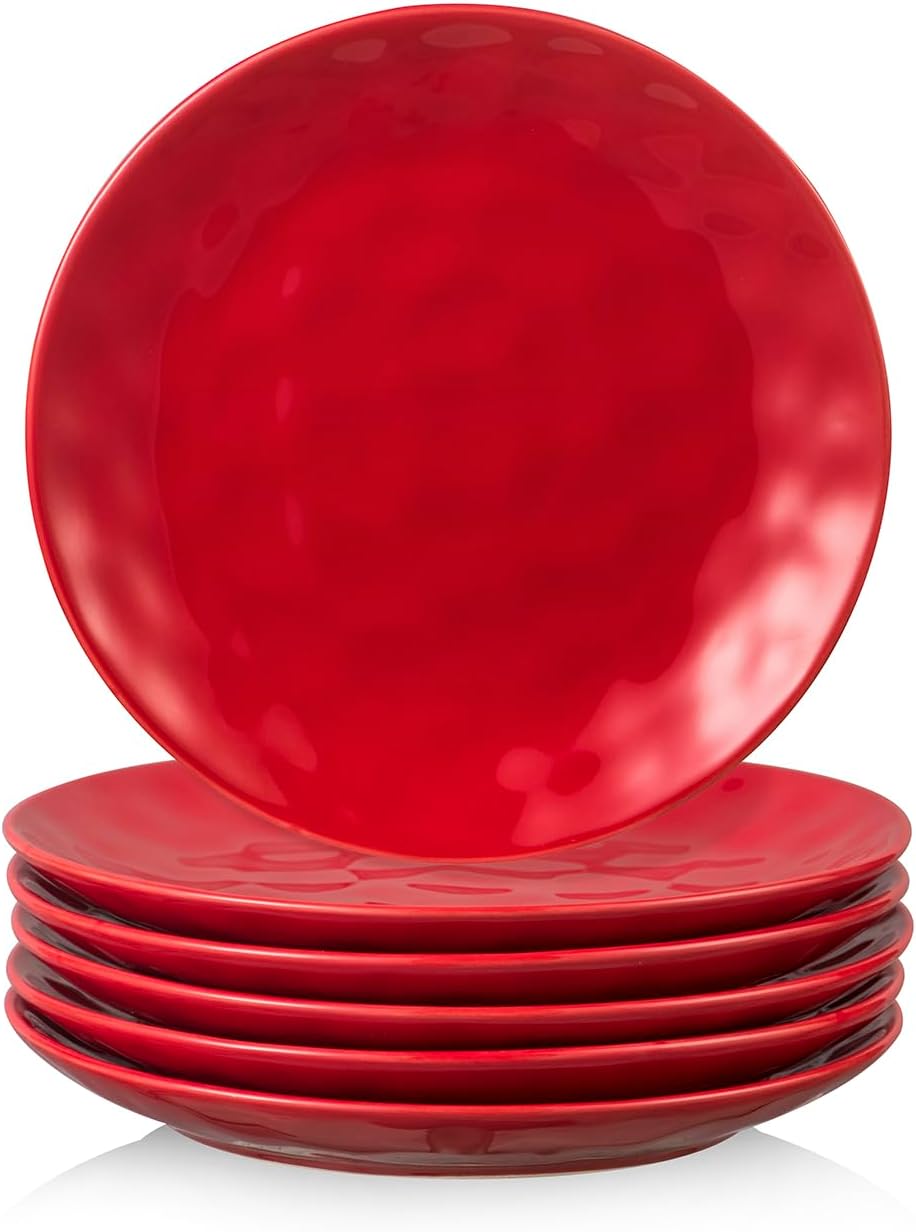 Vicrays Ceramic Dessert Salad Plates - Elegant 8 Inch Set of 6