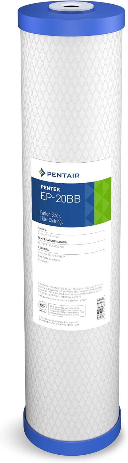 Pentair Pentek EP-20BB Big Blue Carbon Water Filter for Home