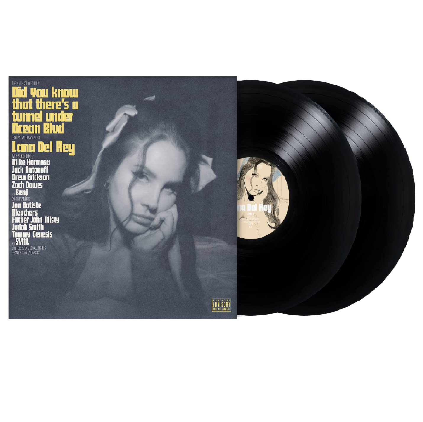 Did You Know That There's a Tunnel Under Ocean Blvd Vinyl LP