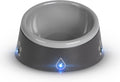16 oz LED Pet Water Bowl - Never Run Dry! ThirstAlert.com