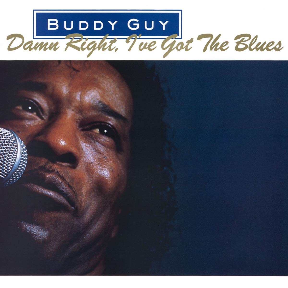 Damn Right I've Got The Blues Black Vinyl Record for Music Lovers