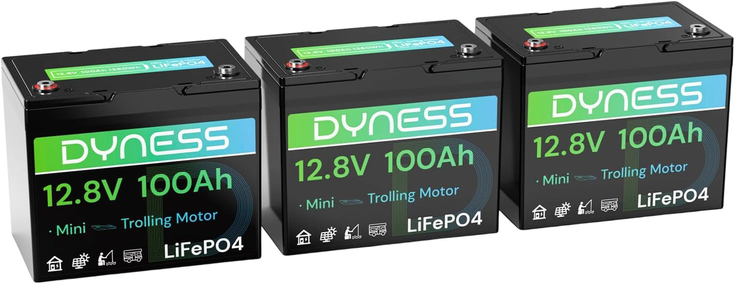 12V 100Ah Mini LiFePO4 Battery for RV, Boat, and Solar Use