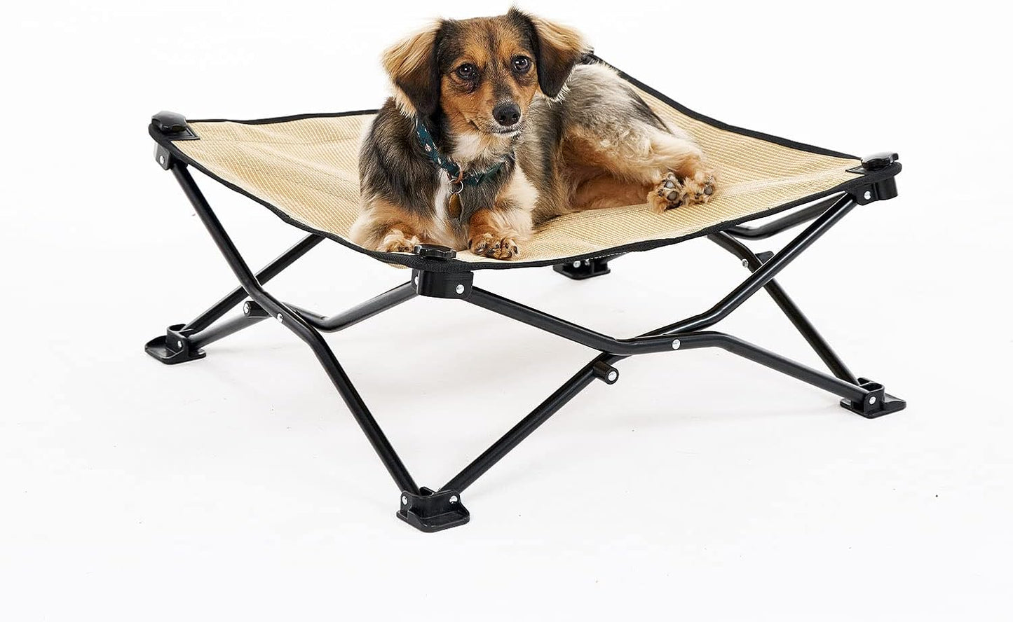 Coolaroo On-The-Go Elevated Dog Bed for Travel Comfort