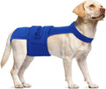 Dog Diapers Female Reusable Washable Period Diaper with Suspender