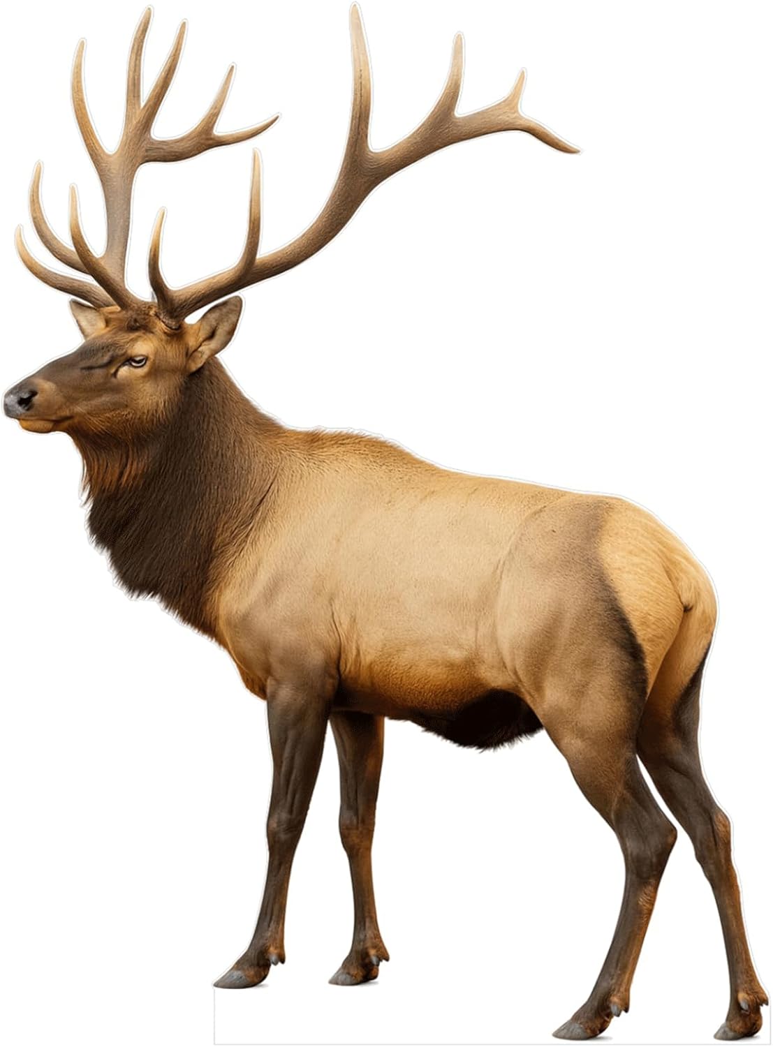 Elk Cutout Life-Size Realistic Woodland Animal Standee for Decor