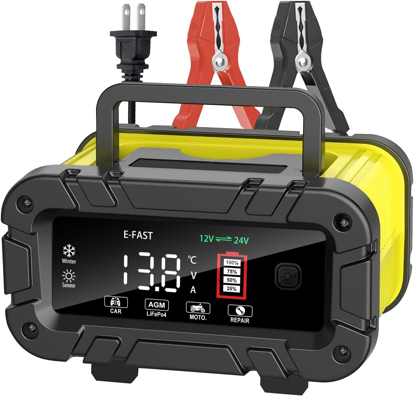 E-FAST 20A Smart Battery Charger