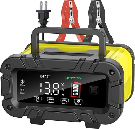 E-FAST 20A Smart Battery Charger