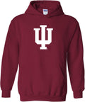 NCAA Logo Hoodie by UGP Campus Apparel for All Fans
