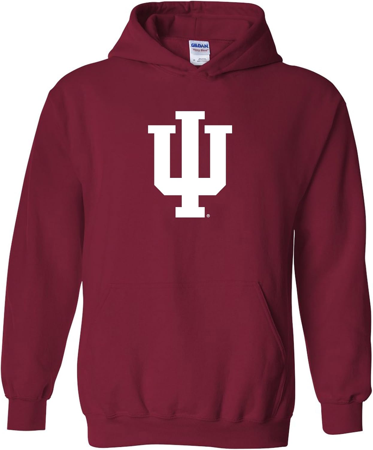 UGP Campus Apparel NCAA Primary Logo Hoodie for School Spirit