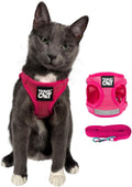 Travel Cat Harness and Leash Set - Adjustable Mesh Harness for Walking