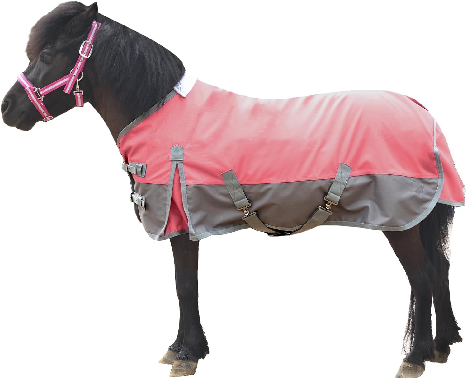 Lightweight Waterproof Mini Horse Turnout Blanket 36in-51in Pink
